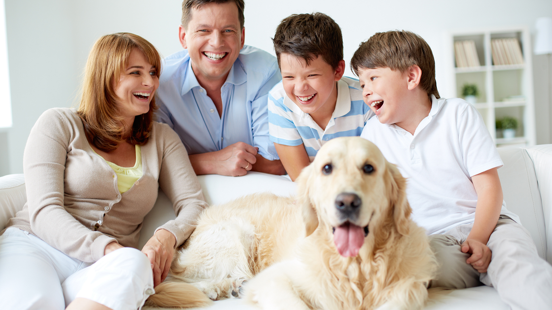 header-for-family